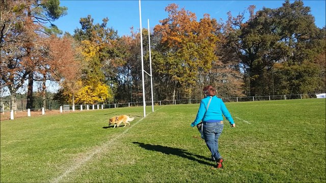 entrainement sur l'objet en recherche utilitaire