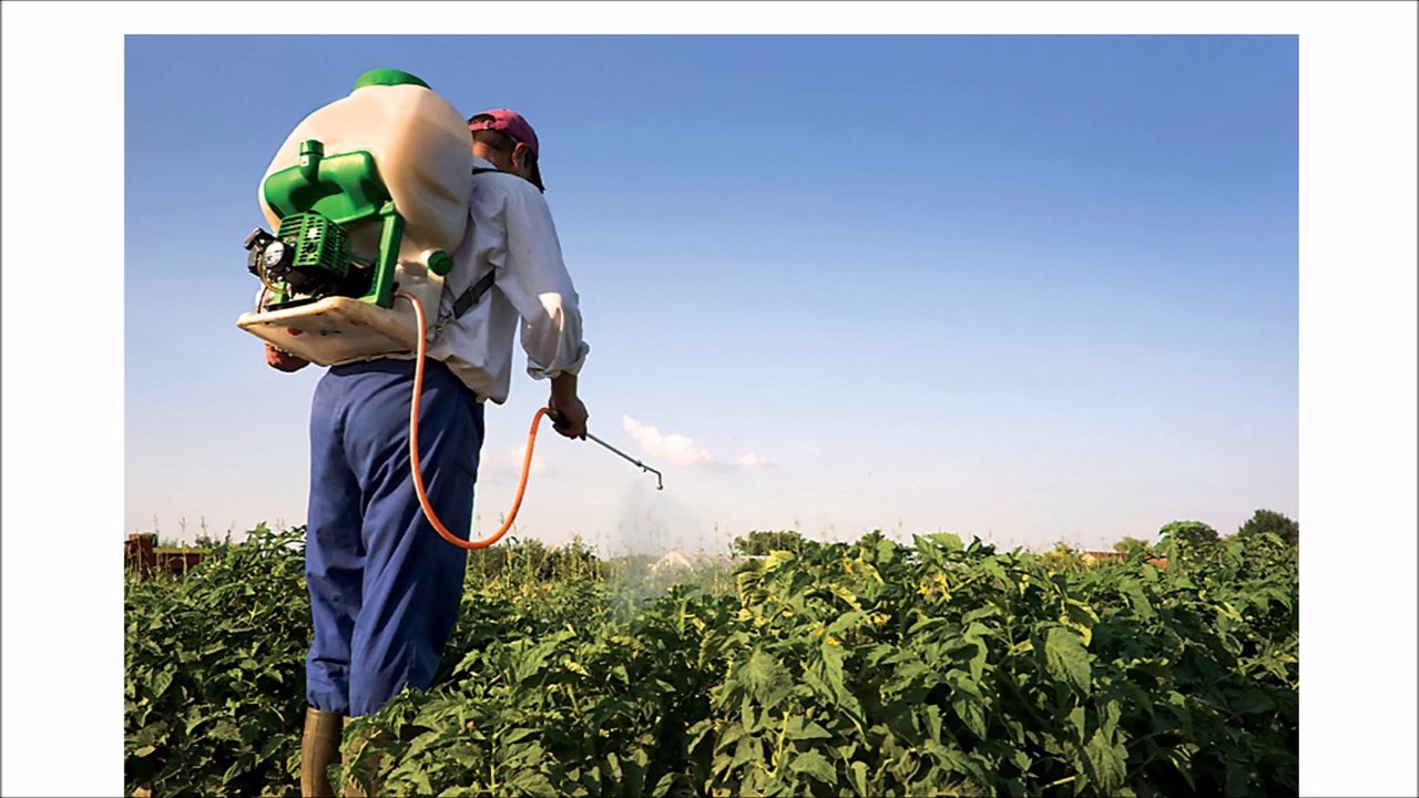 The Truth About Parkinsons Disease