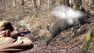 Hunting for wild boar great moments