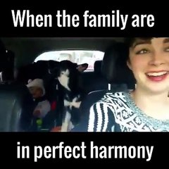 Perfect family just dad is missing