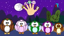 OWL Finger Family Cartoon Animation Nursery Rhymes For Children