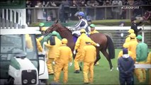 Horse Excellence: Japan Cup and Hong Kong Cup (Horse Racing)
