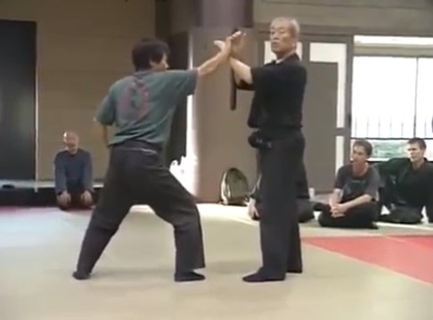 Ninjutsu Masaaki Hatsumi