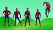 Finger Family Spider Man | Spider Man Cartoon Animation Nursery Rhymes & Songs For Children in 3D