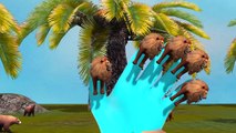 Lion Finger Family Rhymes | Finger Family Songs For Children Top 3D Animated