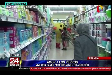 Youtuber vivió encerrado en una jaula para promover adopción de animales