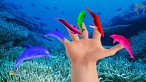 Colors Whale Finger Family Songs - Learn Colors Dolphin Finger Family Nursery Rhymes compilation