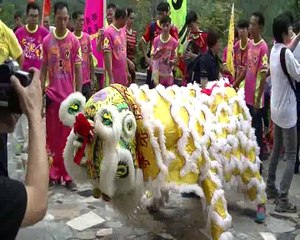 Human Mobile Stage 111D, 2016 15th 	Anniversary of Chau Lung Tomb, Lion Dance Kung Fu, 2碟2膊醒狮,