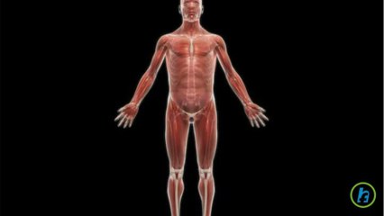 Boli degenerative de disc