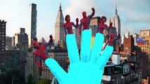 Finger Family Rhymes Spiderman Vs Batman Cartoons | Hulk Vs Spiderman Children Nursery Rhymes
