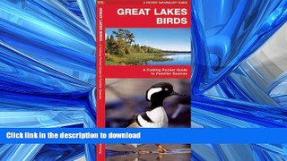 READ BOOK  Great Lakes Birds: A Folding Pocket Guide to Familiar Species (Pocket Naturalist Guide