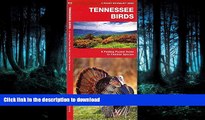 READ  Tennessee Birds: A Folding Pocket Guide to Familiar Species (Pocket Naturalist Guide