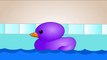 Learn Colors Wth Colorful Ducks For Children, Teach Colours, Baby Kids Learning Videos