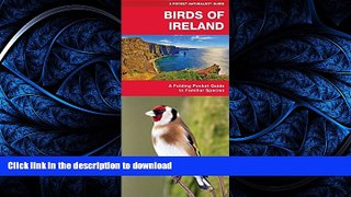 READ  Birds of Ireland: A Folding Pocket Guide to Familiar Species (Pocket Naturalist Guide