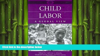 FREE DOWNLOAD  Child Labor: A Global View (A World View of Social Issues)  BOOK ONLINE