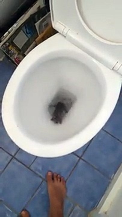 Ever Feel Like The World Is Just Crapping On You