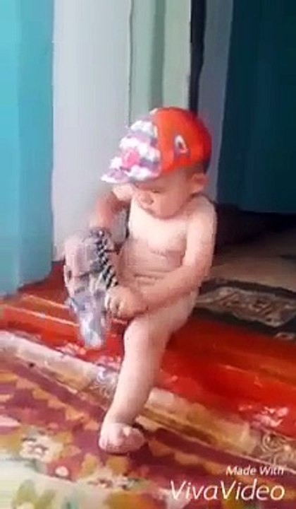 Best funny video