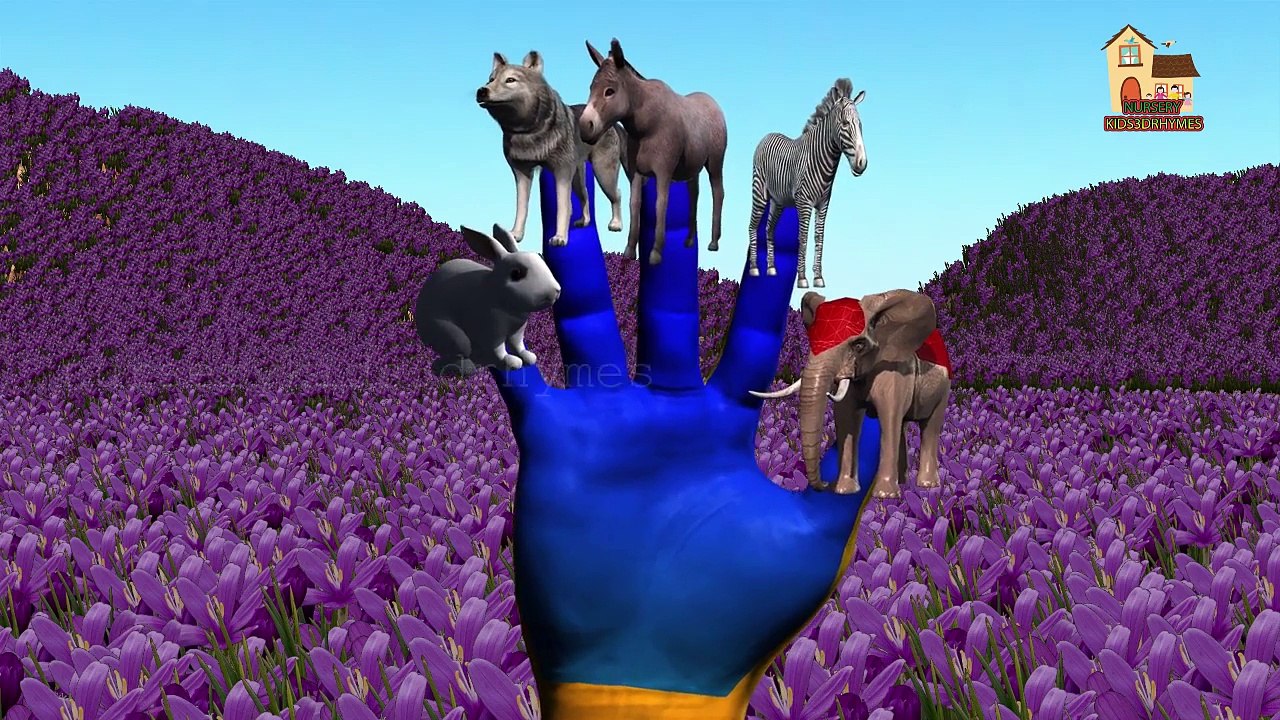 Finger Family 3d Rhyme with Animal Names and Sounds | Nursery Children Finger Family Song Lyrics