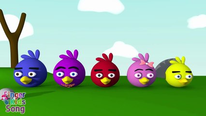 3D Angry Bird Finger Family Nursery Rhyme | Parody Finger Kids Song