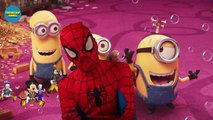 #Minions Finger Family #Finger Family Song #Minions #Spiderman #Minions Song |