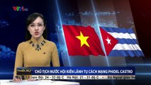 Chủ tịch nước Trần Đại Quang hội kiến lãnh tụ cách mạng Phidel Castro