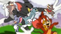 Finger Family Tom and Jerry Finger Family Cat Tom and Jerry Cartoon Nursery Rhymes