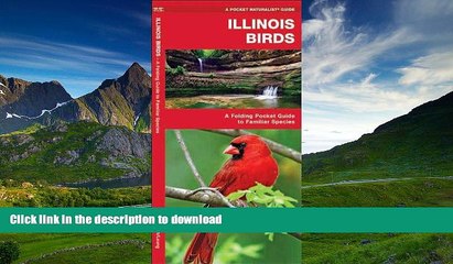 READ BOOK  Illinois Birds: A Folding Pocket Guide to Familiar Species (Pocket Naturalist Guide