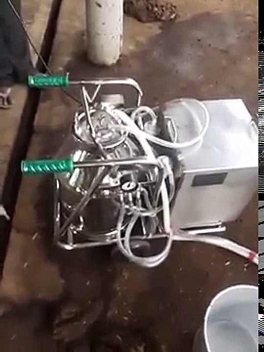 7. Double Bucket Milking Machine in india