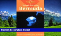 FAVORITE BOOK  Diving   Snorkeling Guide to Bermuda (Lonely Planet Diving and Snorkeling