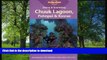 READ BOOK  Diving   Snorkeling Chuuk Lagoon, Pohnpei   Kosrae (Lonely Planet Diving and