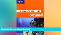 READ  Lonely Planet Diving   Snorkeling Cozumel (Lonely Planet Diving and Snorkeling Guides)