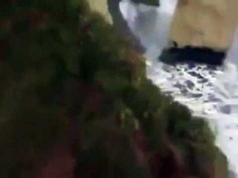 LES SIRENES EXISTENT PREUVE