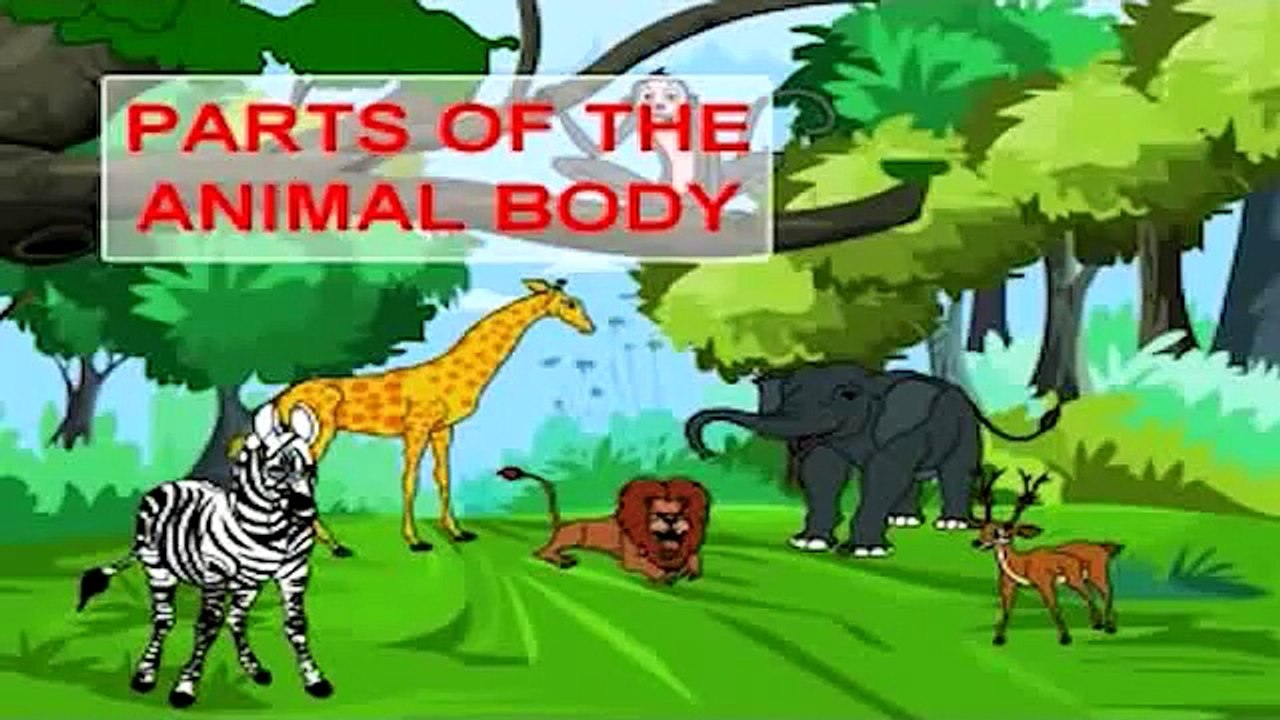 Learn Animal Body Parts - Part 2