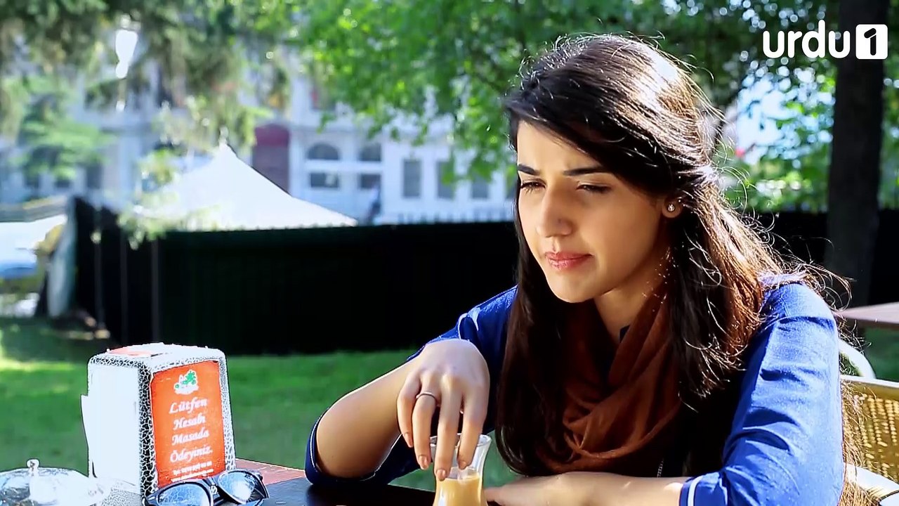 Mere Humdum Mere Dost Episode 5 Urdu1