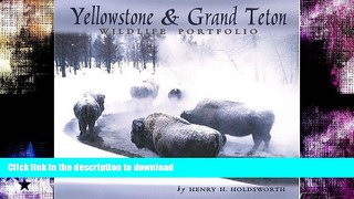 GET PDF  Yellowstone   Grand Teton Wildlife Portfolio FULL ONLINE
