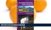 READ  Glacier National Park Wildlife: A Folding Pocket Guide to Familiar Species (Pocket