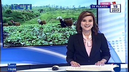 Pesona Wisata Agro Teh Tambi