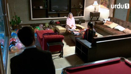 Mere Humdum Mere Dost Episode 13 Urdu1