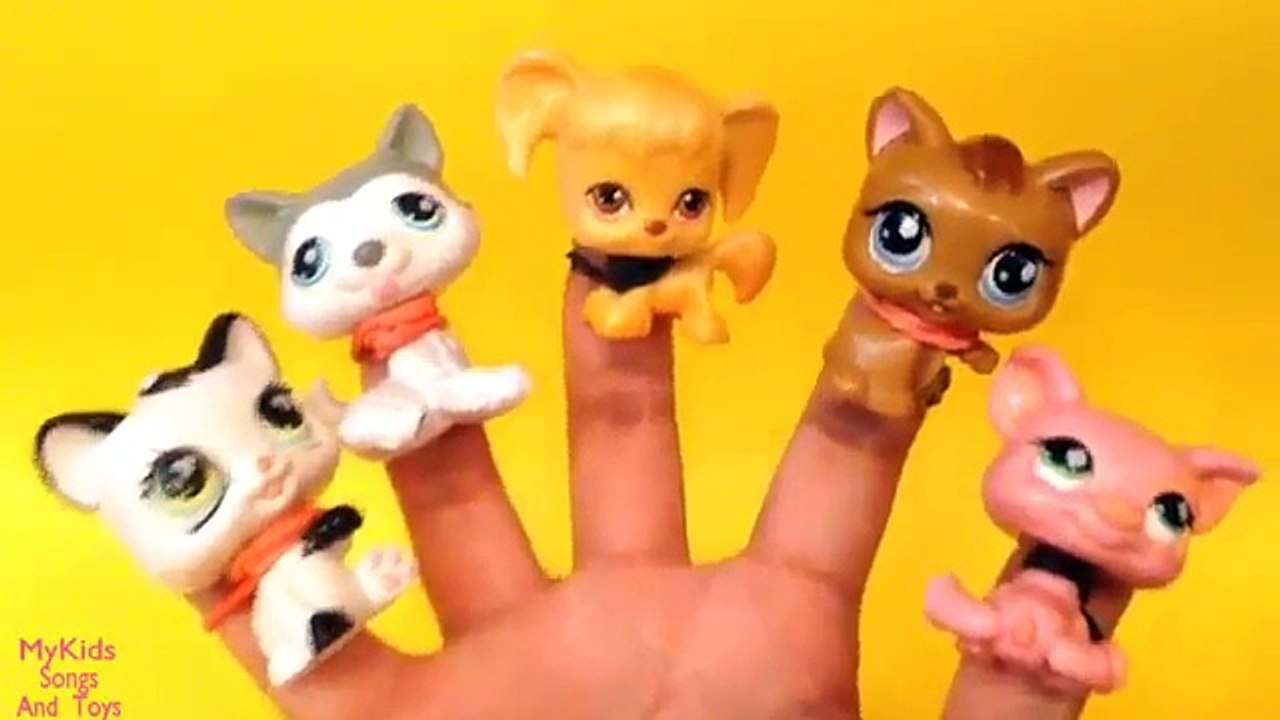 303 Finger Family Littlest pet shop Family Nursery Rhymes collection songs for children