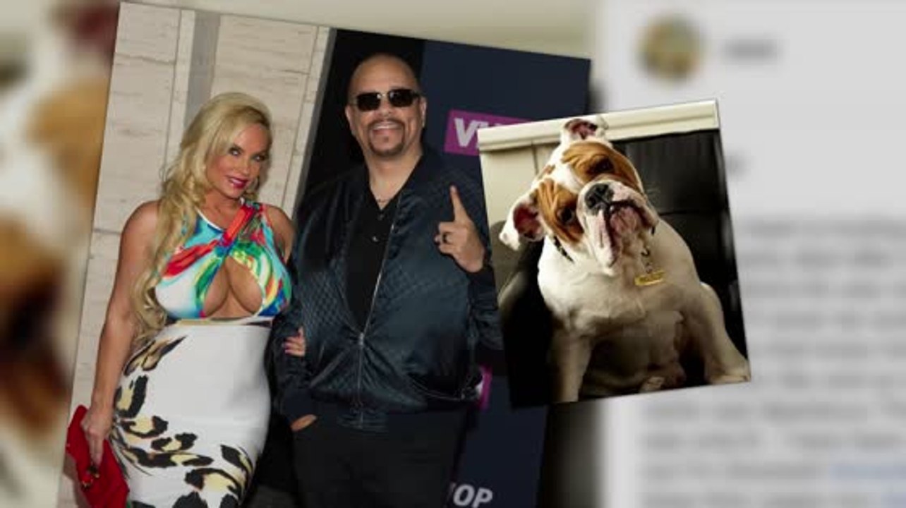 Ice T y Coco en duelo por la pérdida de su perr...