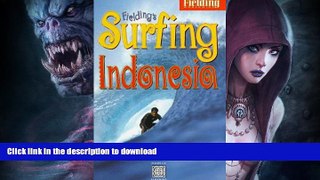 READ BOOK  Fielding s Surfing Indonesia : Fielding s In-Depth Guide to Boarding on the World s