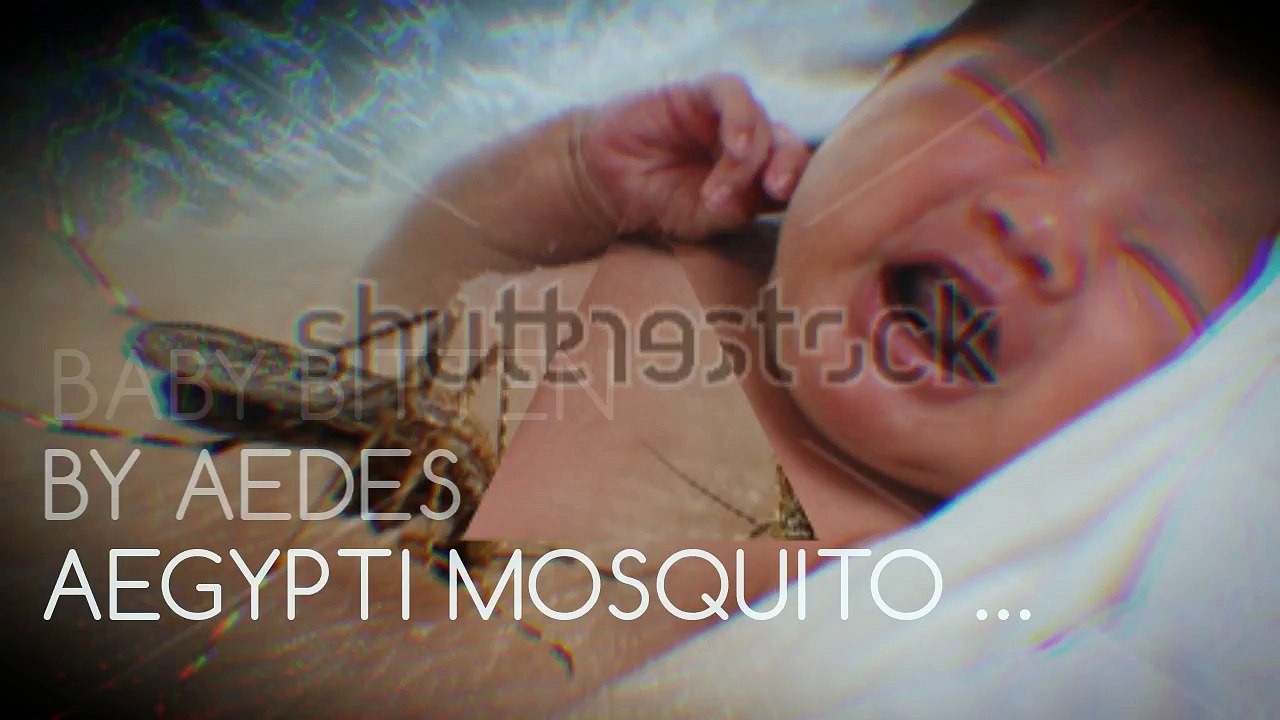 mosquitocontrol