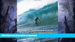 FAVORITE BOOK  The Stormrider Guide Europe: Atlantic Islands (Stormrider Surf Guides) (English