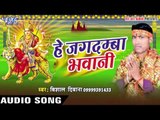 विधाता बाड़ू तुही ऐ माई | Hey Jagdamba Bhawani | Vishal Deewana | Bhojpuri Song Devi Geet 2016