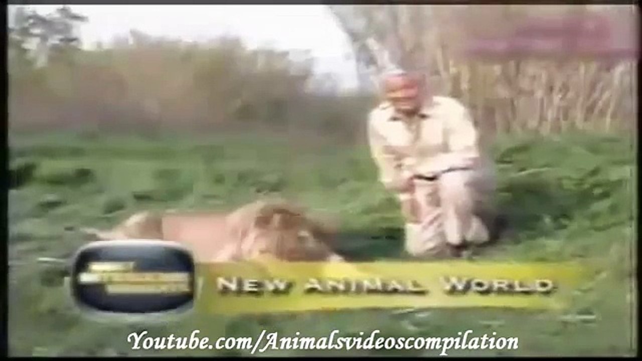 Animal Attacks Compilation 2015 HD #8