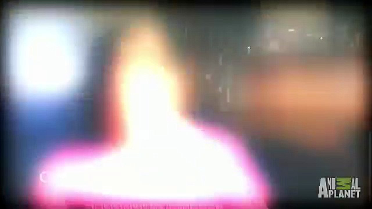 Boy Eaten Inside Out   Monsters Inside Me