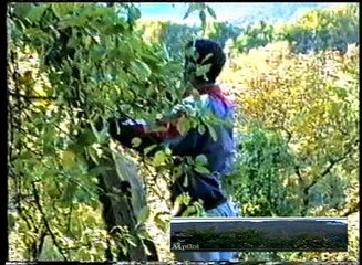 emMOJKRAJ - jesenjabukezapoda 1997