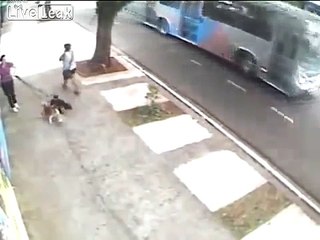 Cops kick the living sh t out of attacking pitbulls