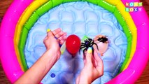 Finger Family Song for Learning Colors - Big Insects with Nursery Rhyme Songs