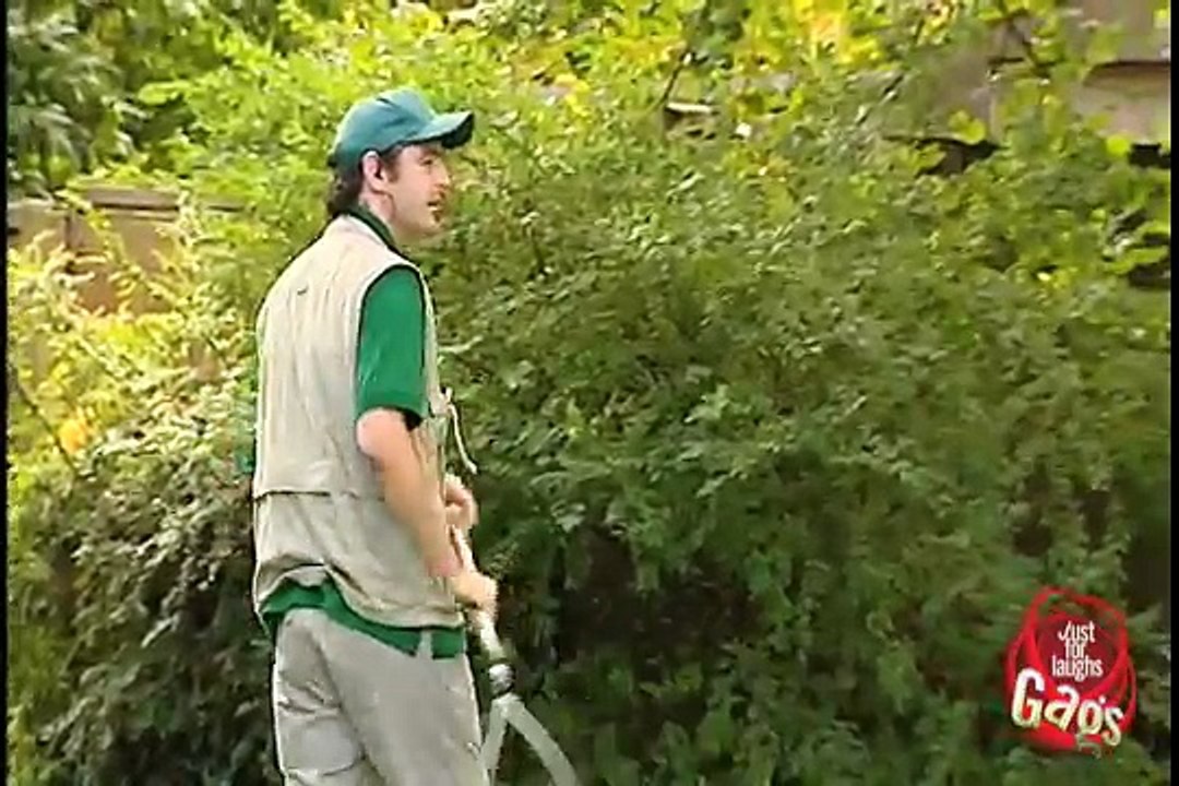 Escaped Lion Prank